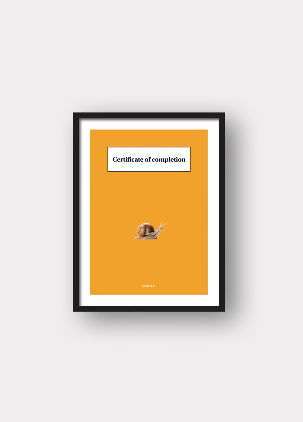 Photo of certificate